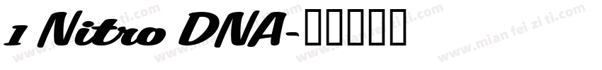 1 Nitro DNA字体转换